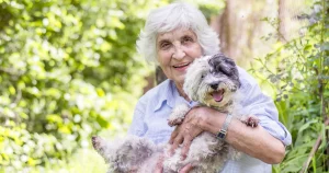 Veterinary care for elderly pets